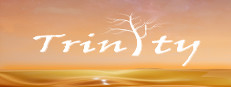 Trinity 게임 이미지
