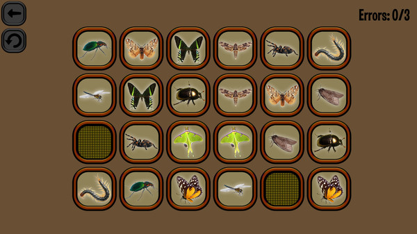 Animals Memory: Insect