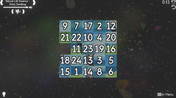 True Puzzle
