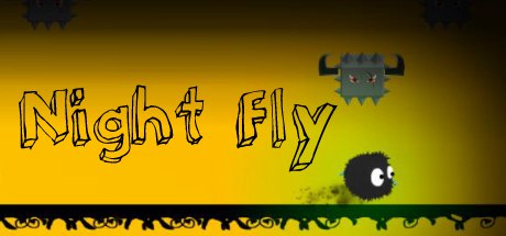 Night Fly Cover Image