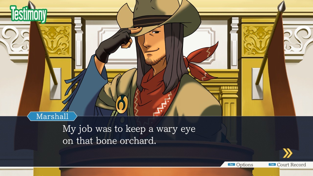 Never seen her in the games, who dis? : r/AceAttorney