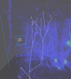 скриншот Virtual Reality Neuron Tracer 2