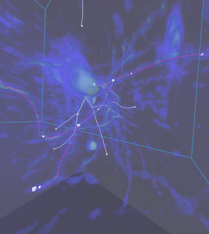 скриншот Virtual Reality Neuron Tracer 1