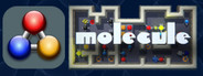 Molecule - a chemical challenge
