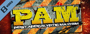 PAM Space Cowboy Intro