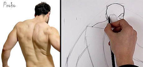 Figure Drawing Fundamentals: Linear Layin – Anatomical Forms banner