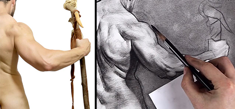 Figure Drawing Fundamentals: Shading – Upper Body Details banner