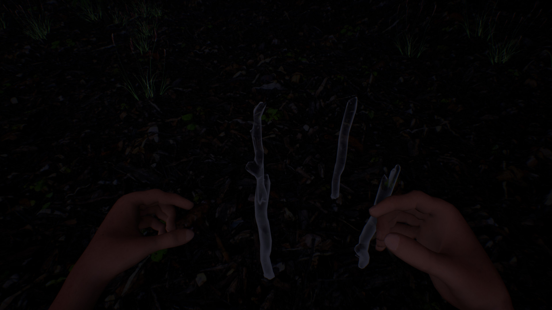 Journey of Life Demo #0