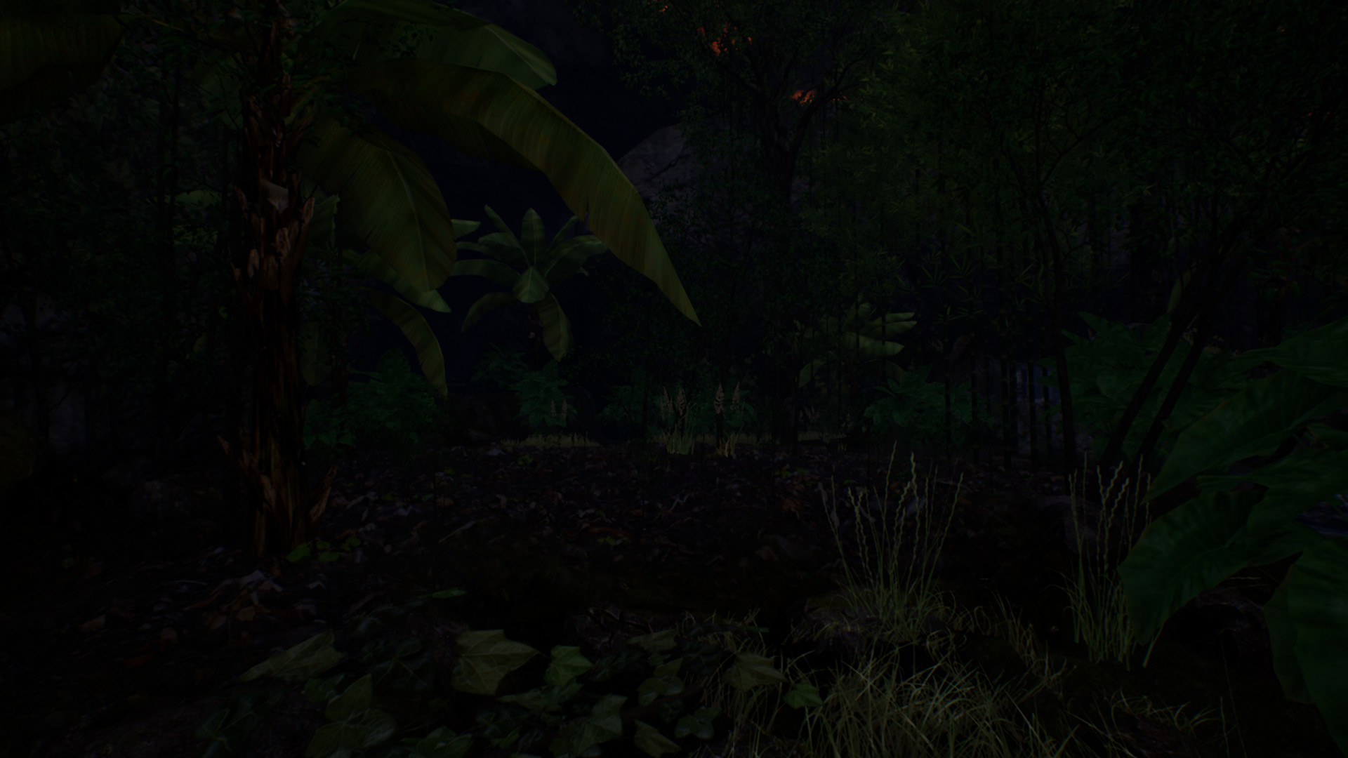 Journey of Life Demo #3