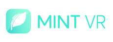 MINT VR 게임 이미지