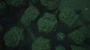 Realm of the Mad God Exalt