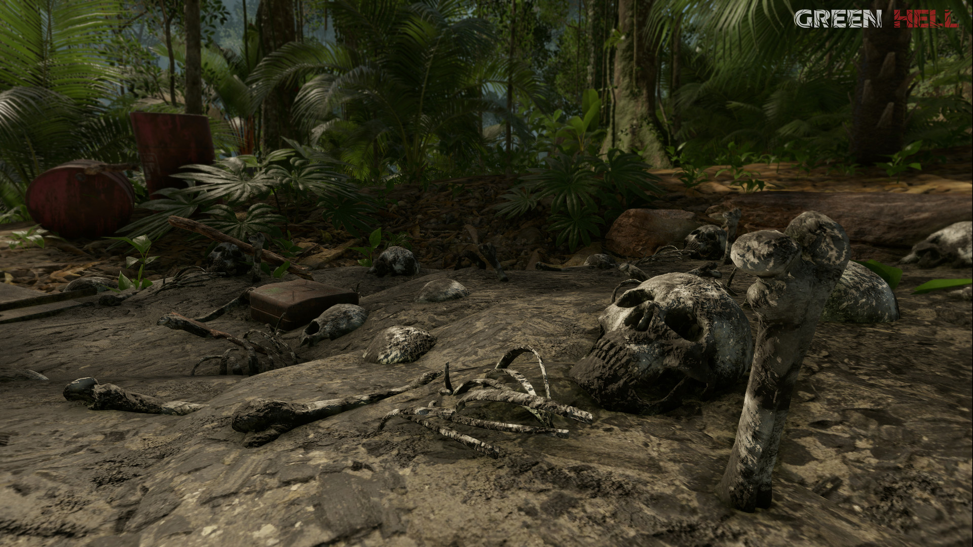 Green Hell screenshot 19