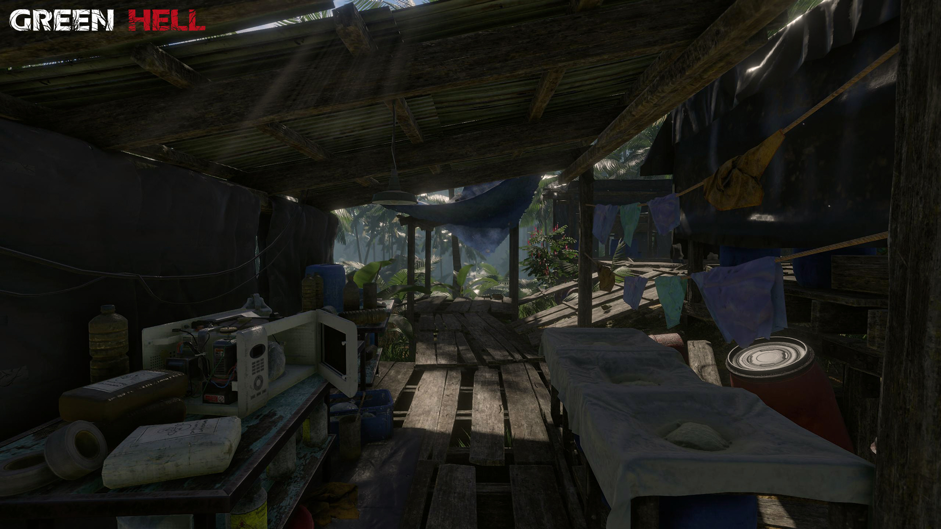 Green Hell screenshot 12