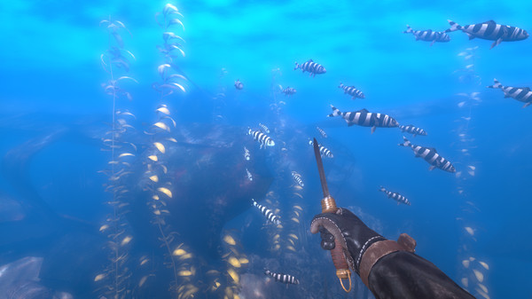 скриншот Depth - Wilhelm Diver 2