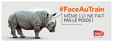 Face au train 게임 이미지