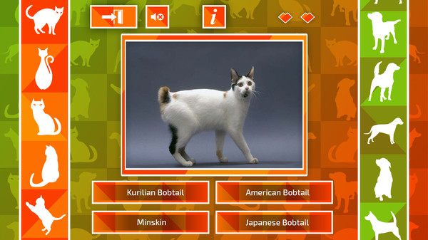 JQ: dogs & cats for steam JQ: dogs & cats for steam