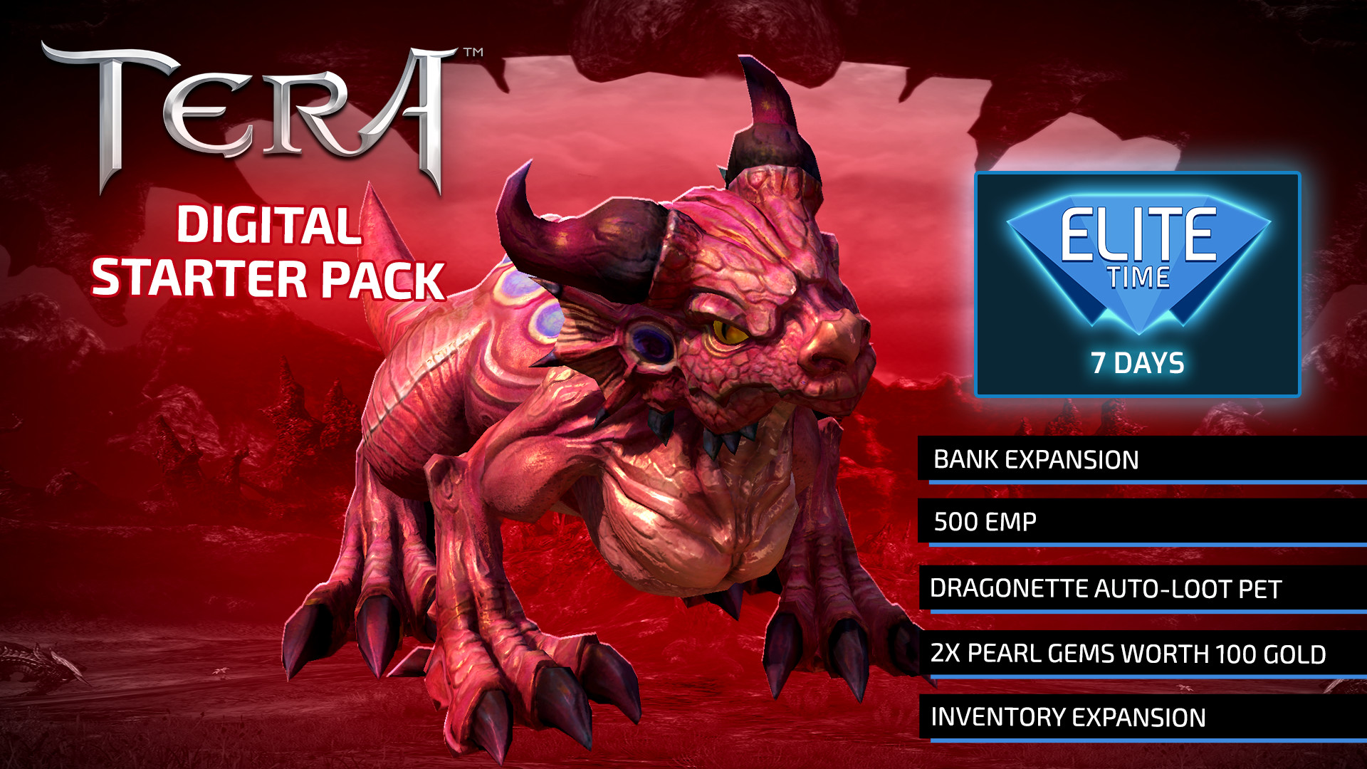 TERA: Digital Starter Pack Featured Screenshot #1