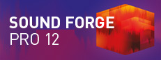 SOUND FORGE Pro 12 Steam Edition 게임 이미지