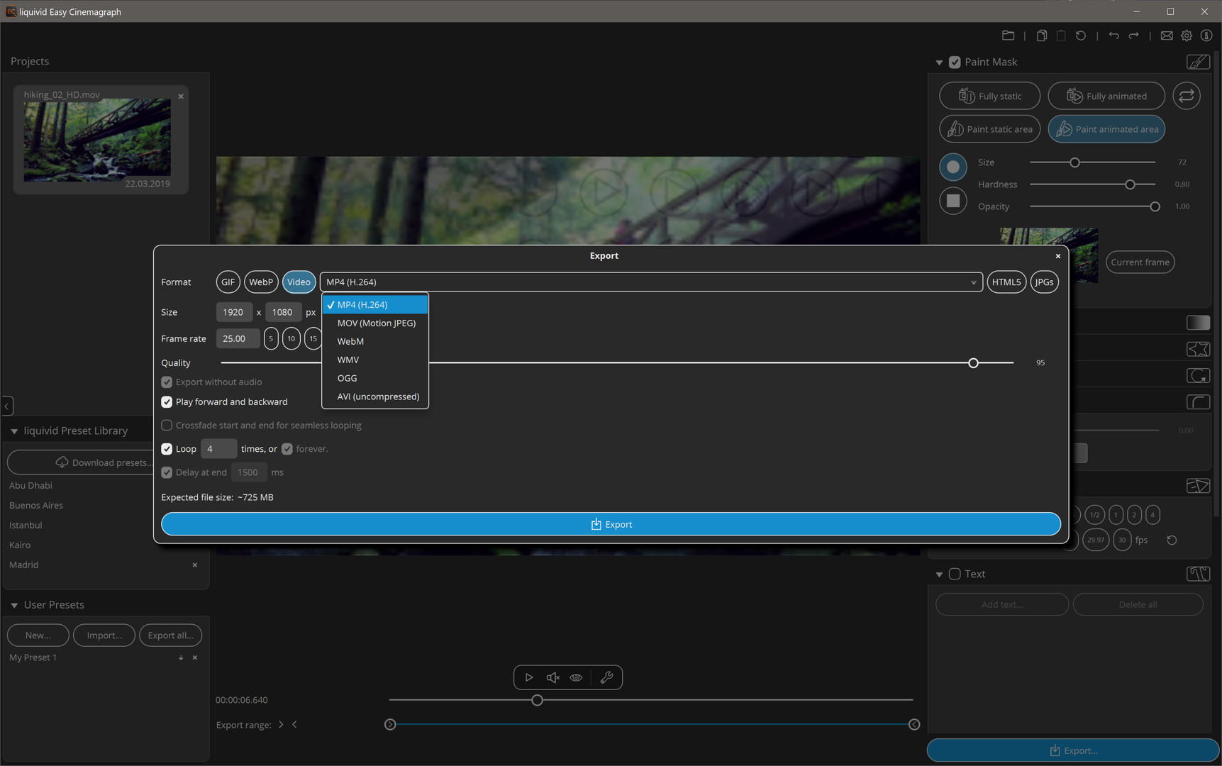 liquivid Easy Cinemagraph #4