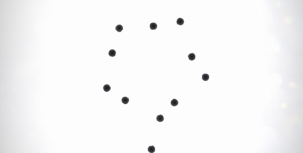 Black Circle