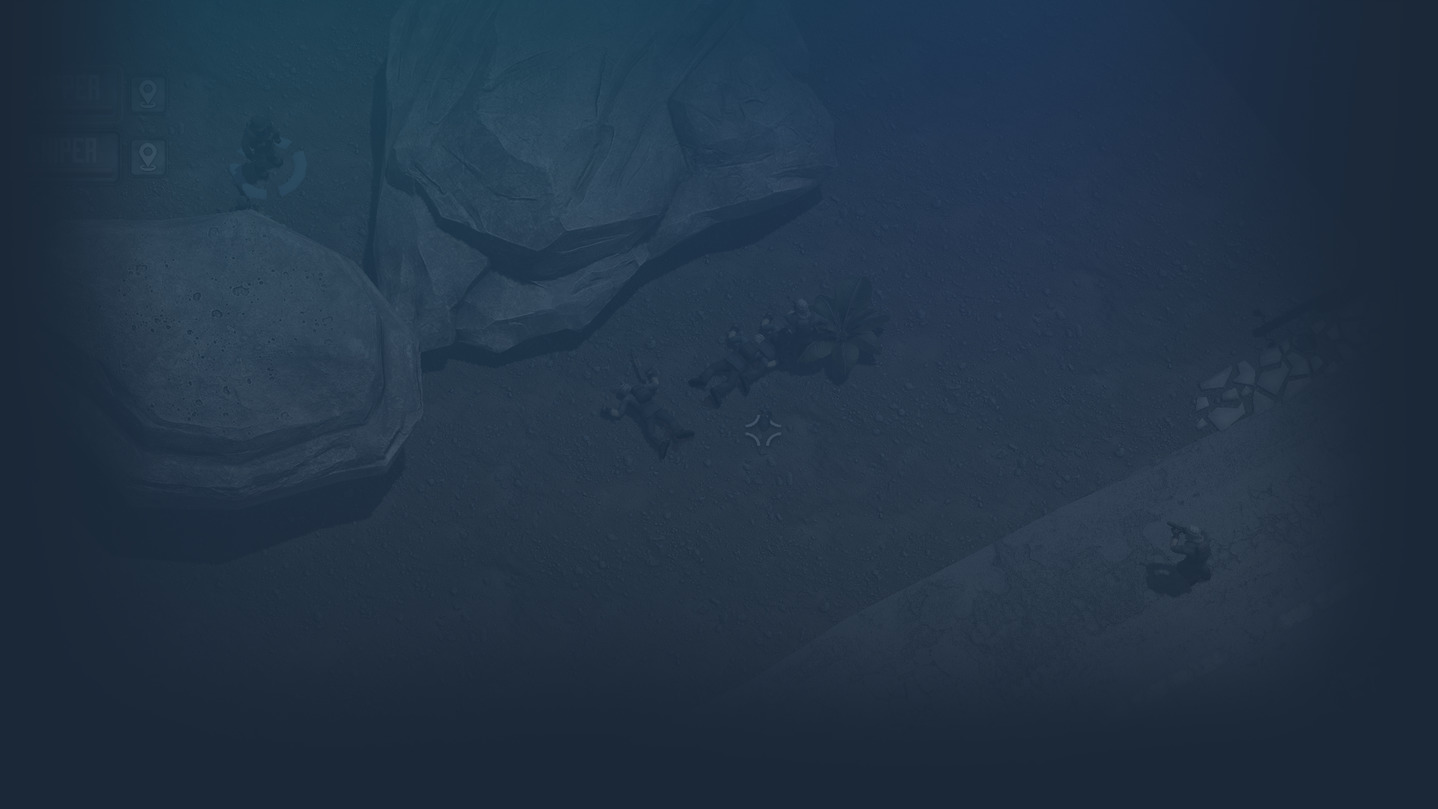 Operation Osama Bin Laden background