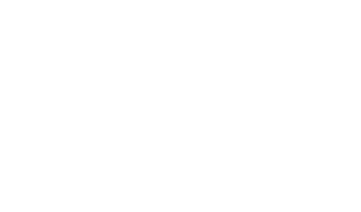 Conqueror's Blade