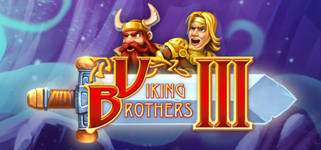 Viking Brothers 3 Cover Image