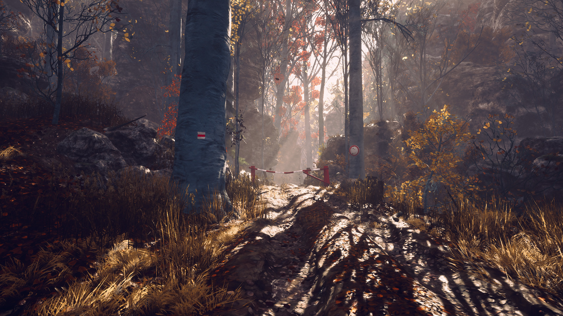 Someday You'll Return #0