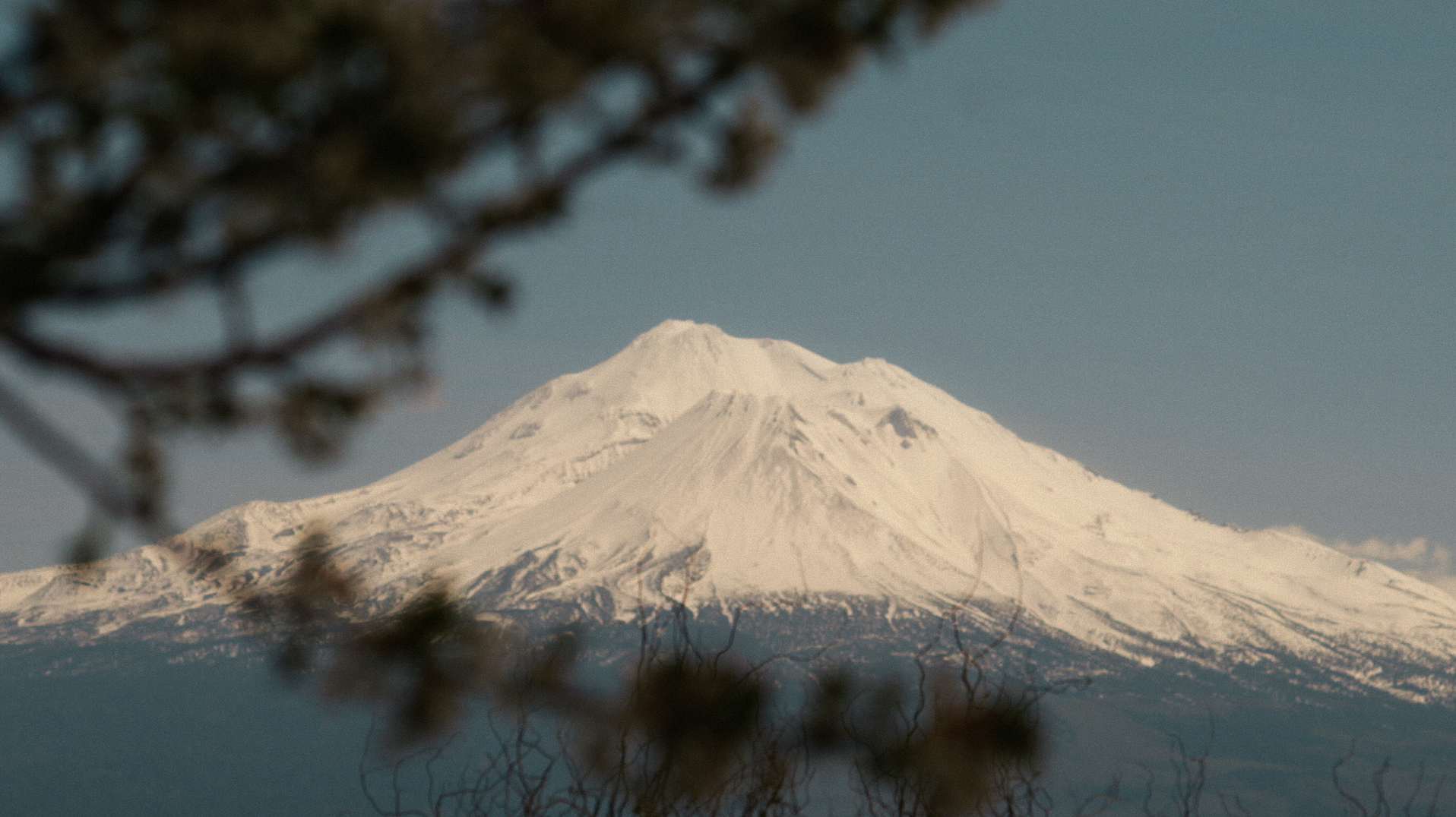 I Know You're in There #0