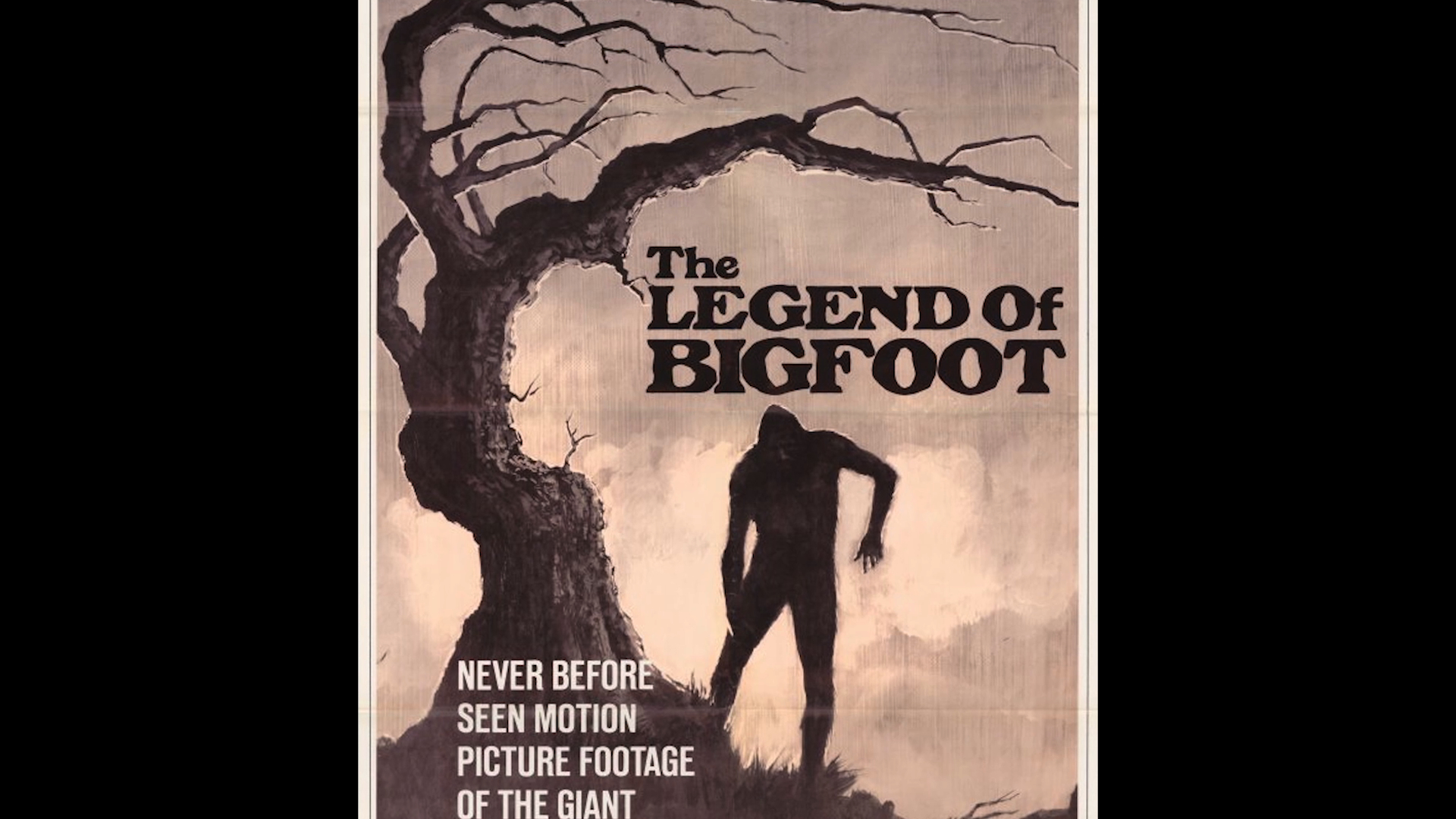 Boggy Creek Monster #3