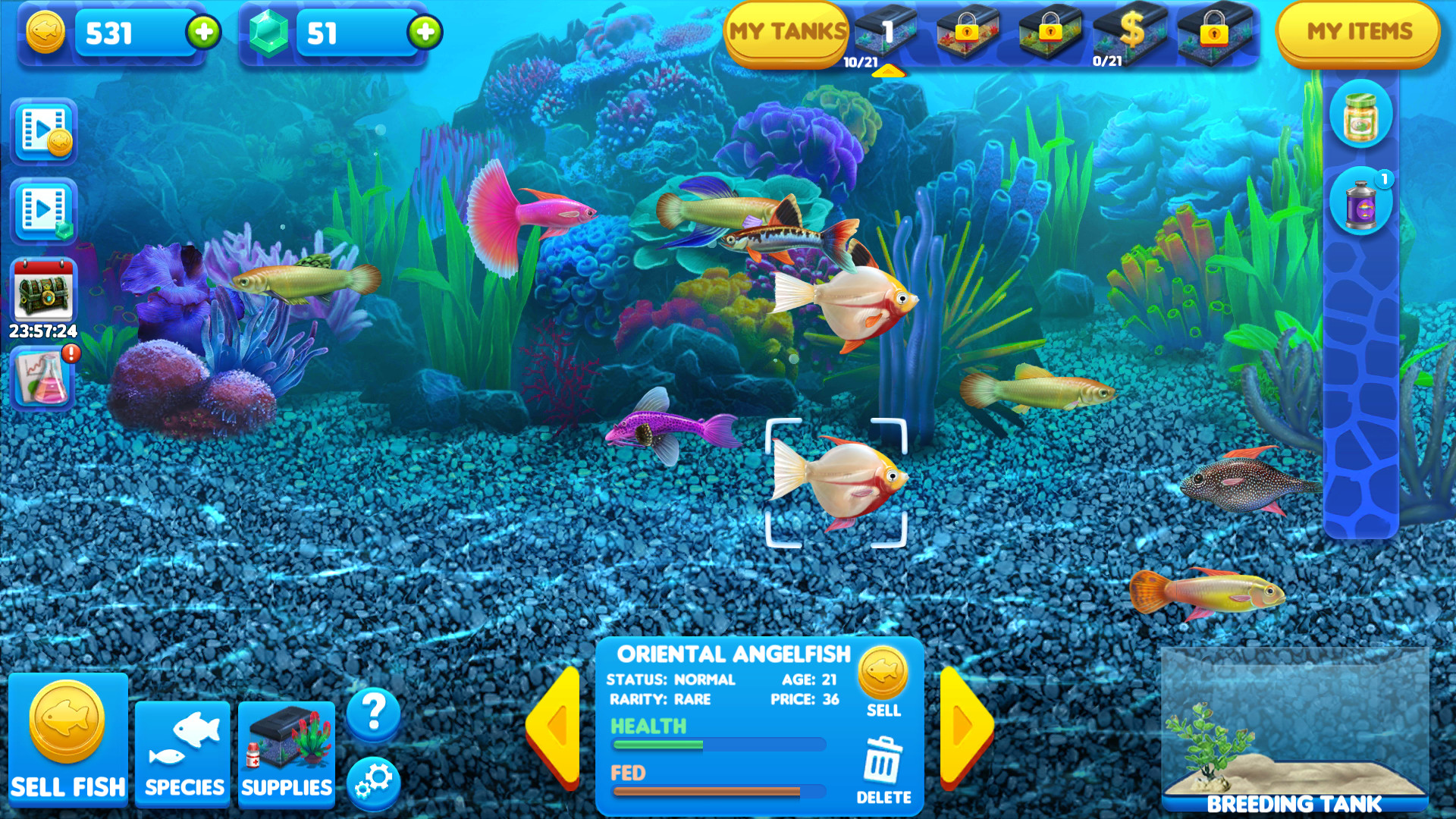 virtual aquarium for cats