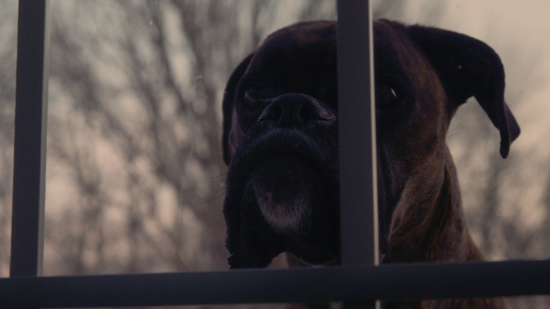 Death on Scenic Drive #4