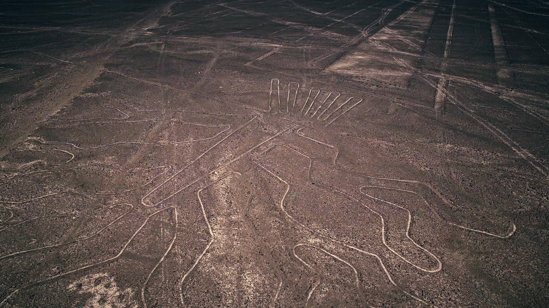 Invasion on Chestnut Ridge #11