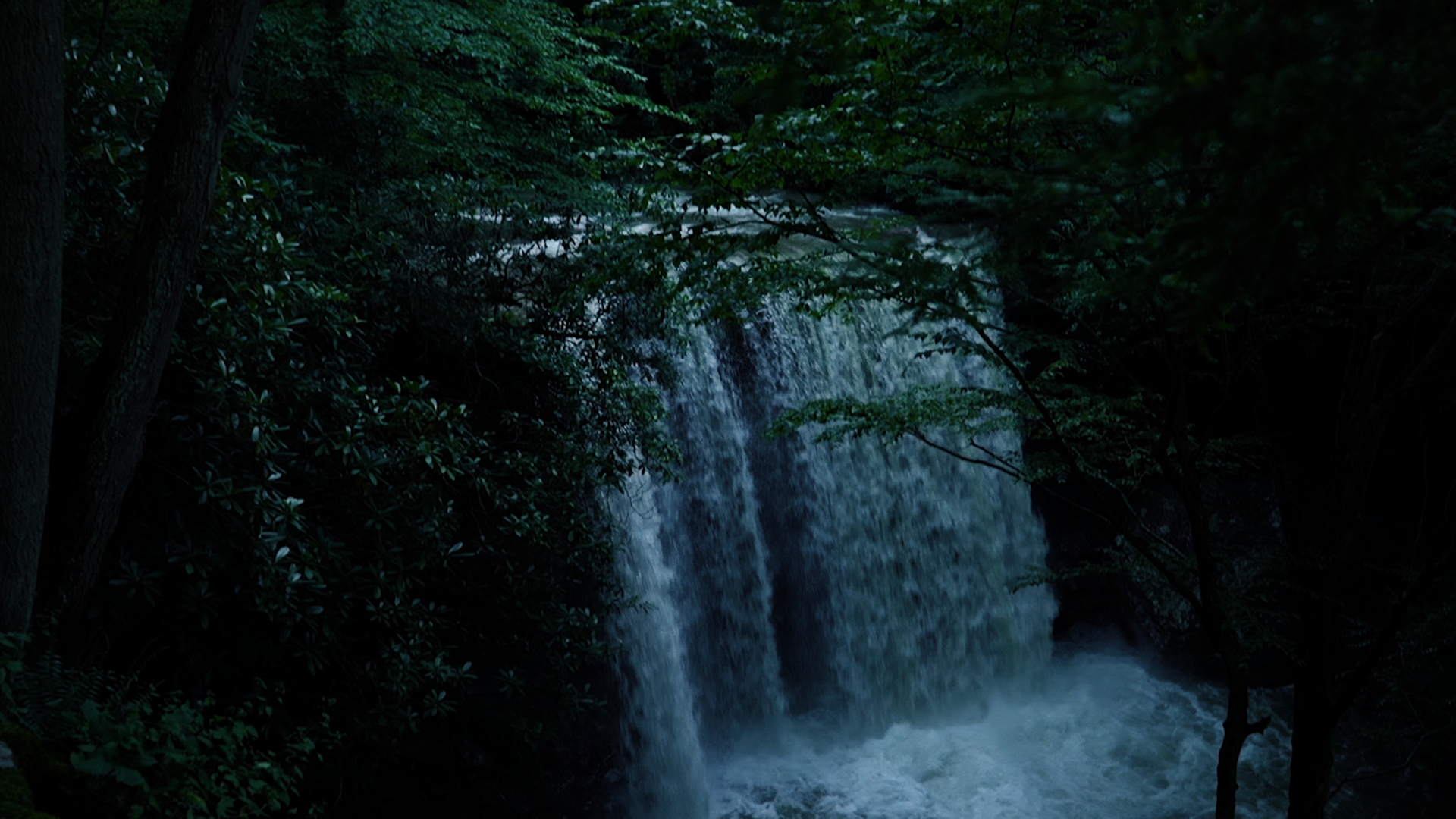 Invasion on Chestnut Ridge #8