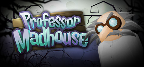 Professor Madhouse Cover Image