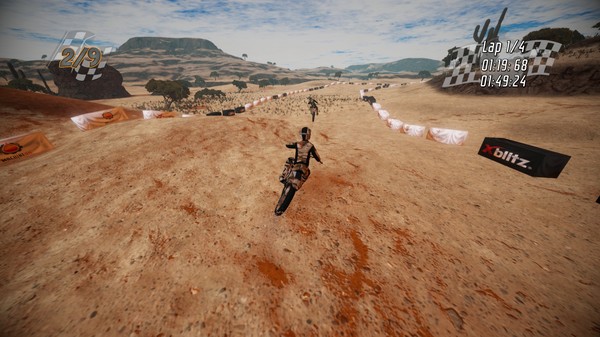 скриншот Dirt Bike Insanity 5