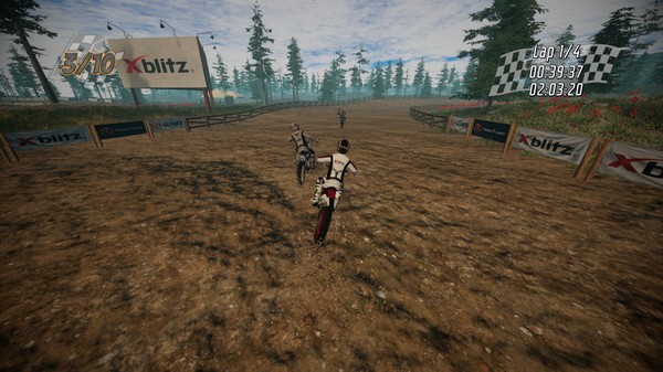 скриншот Dirt Bike Insanity 0
