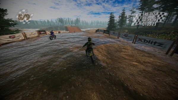 скриншот Dirt Bike Insanity 2