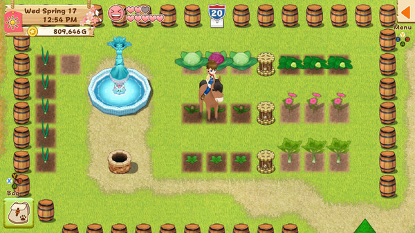 KHAiHOM.com - Harvest Moon: Light of Hope Special Edition - Decorations & Tool Upgrade Pack