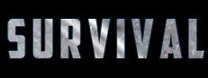 Survival 게임 이미지