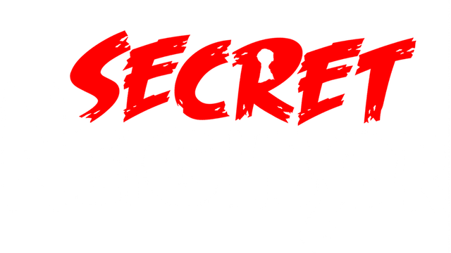 Secret Neighbor