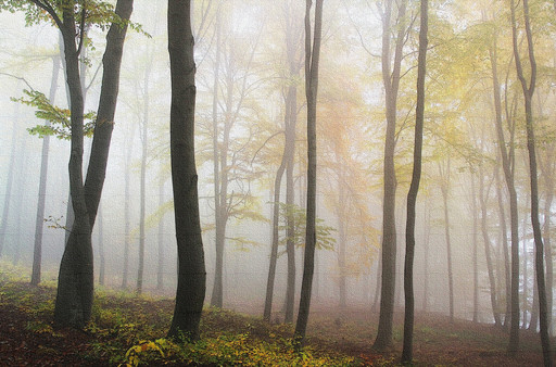 скриншот Entre-Deux Wallpapers 1