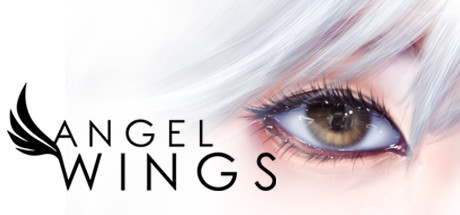 Angel Wings Cover Image