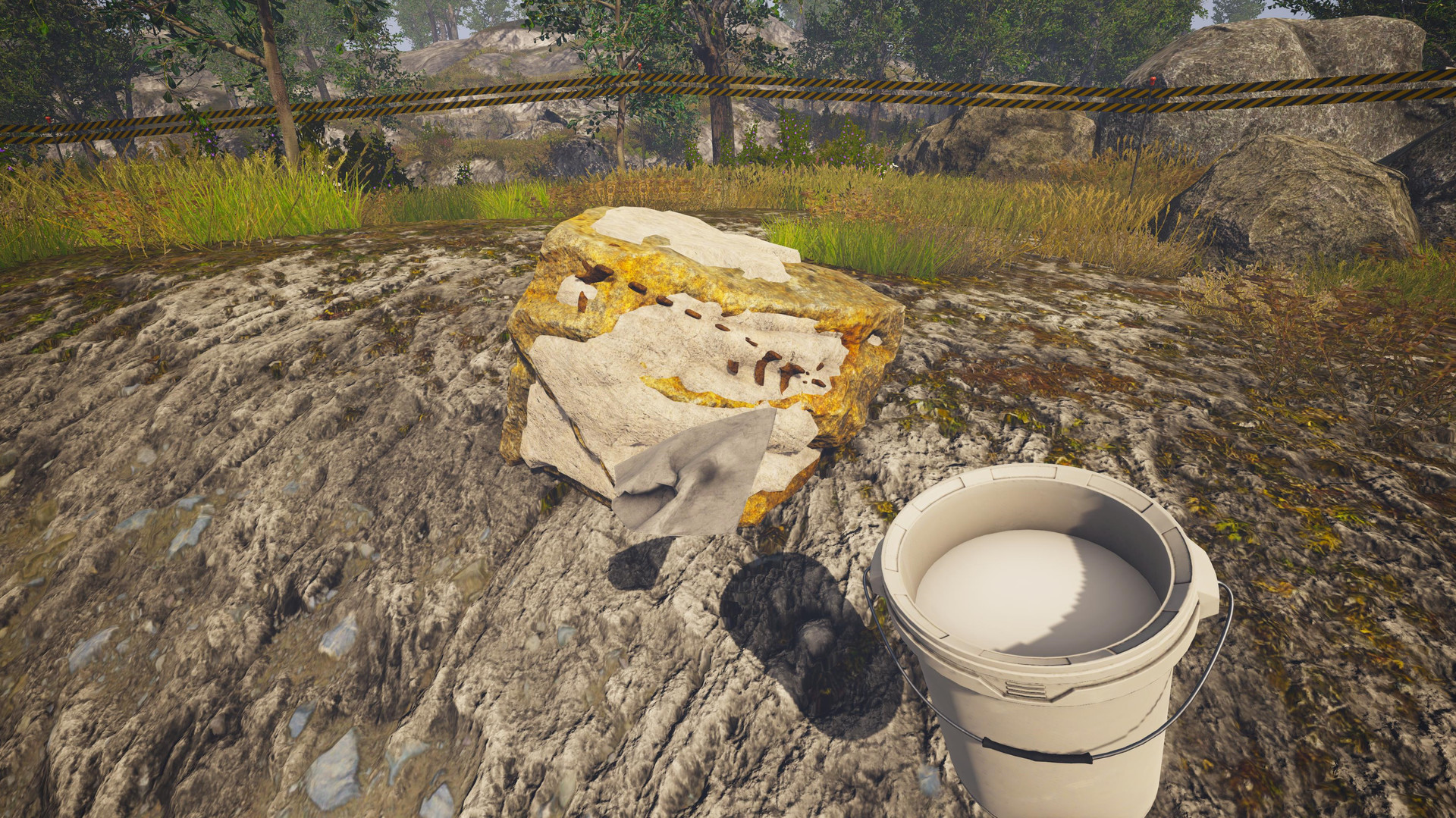 Dinosaur Fossil Hunter #21