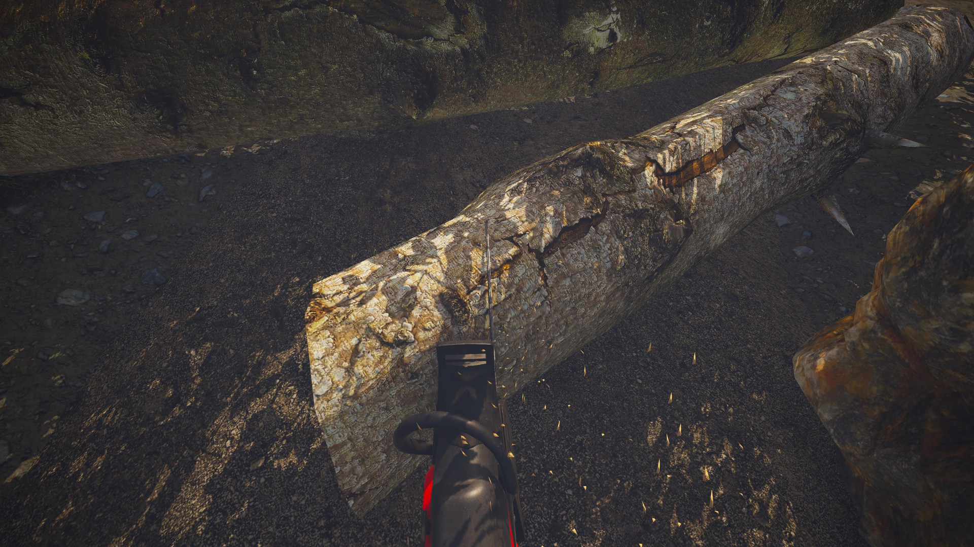 Dinosaur Fossil Hunter #9