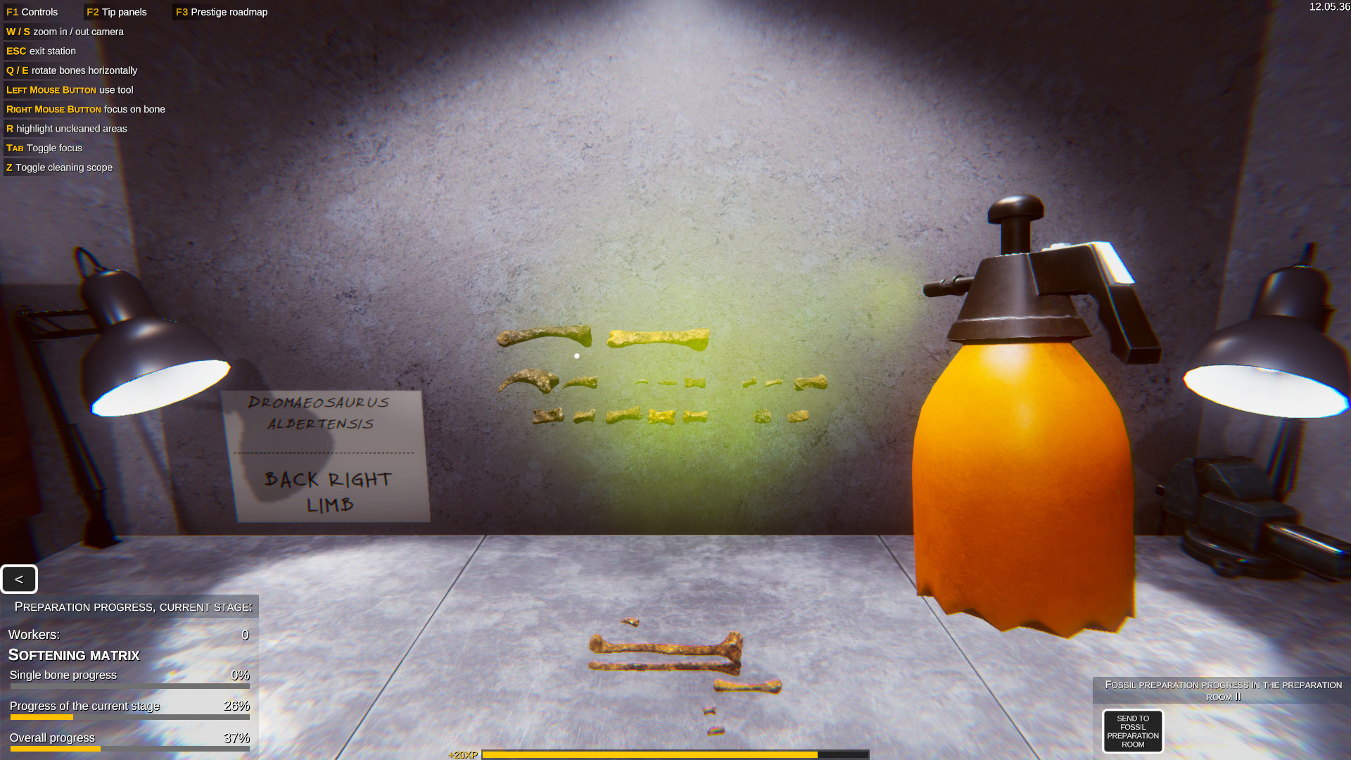 Dinosaur Fossil Hunter #17