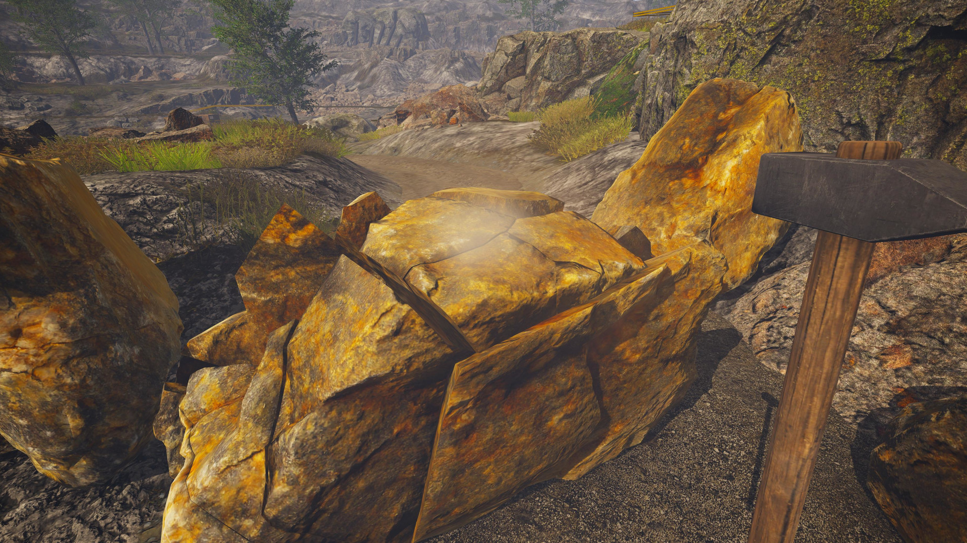 Dinosaur Fossil Hunter #8