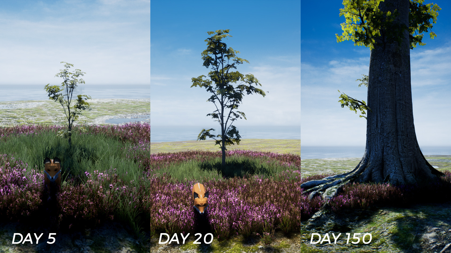 PLAYNE : The Meditation Game on Steam