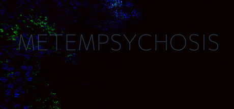Metempsychosis Cover Image