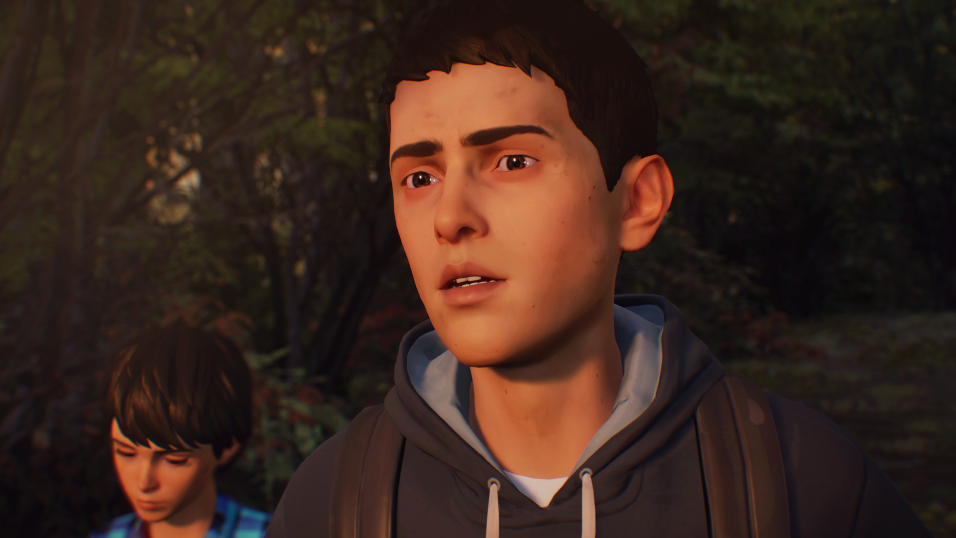 Life is strange 2 arcadia bay patches dlc описание